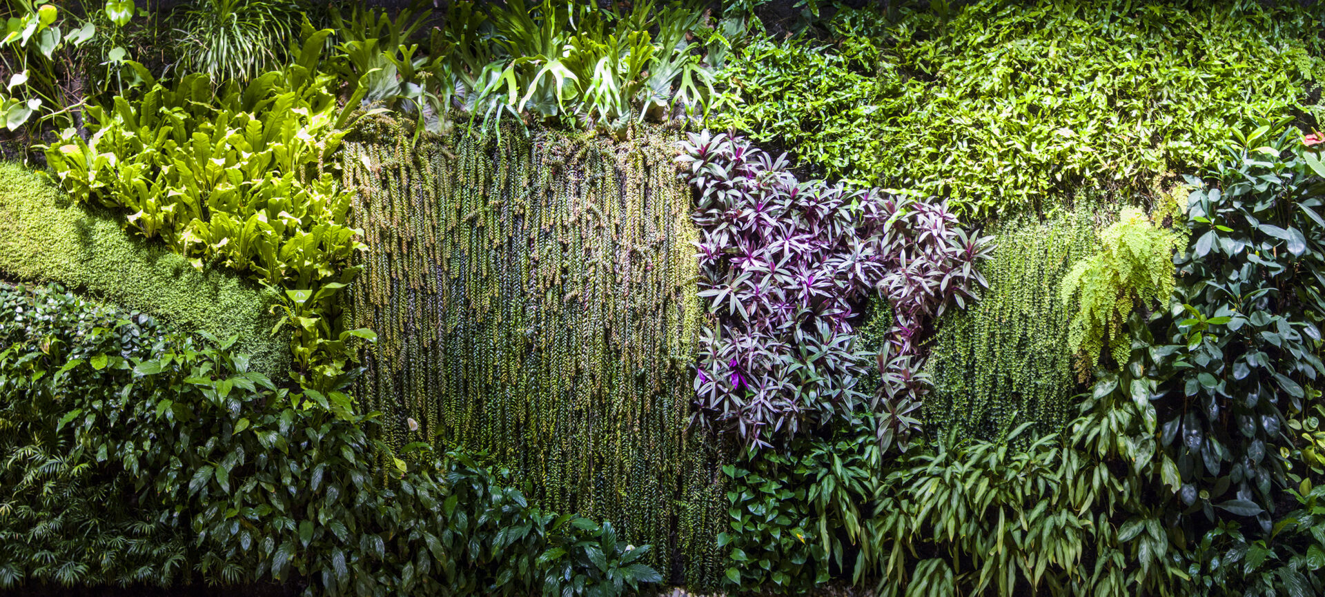 Diaporama Nature - Arthur Recht